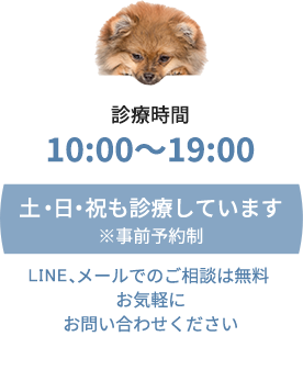 土日祝も診療！[診療時間]10:00～19:00 ※要事前予約