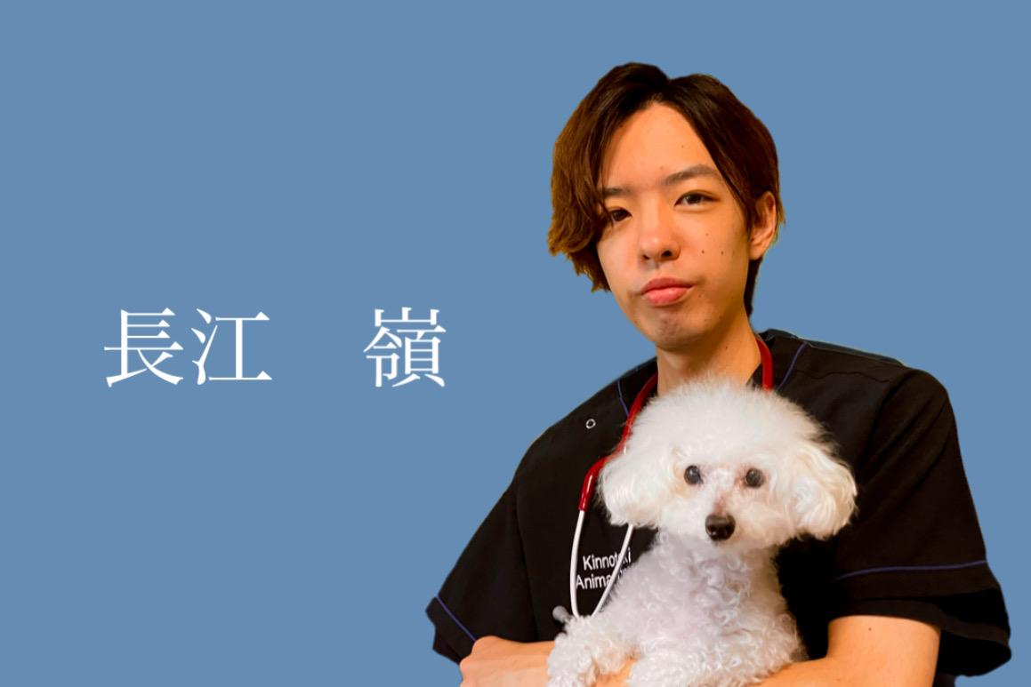 長江　嶺