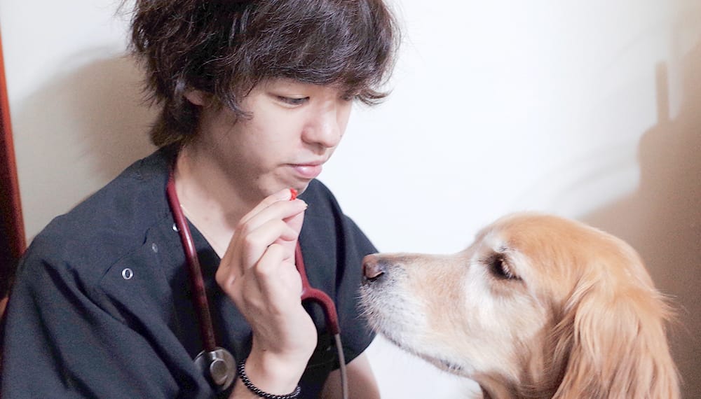 金乃時アニマルクリニックについて