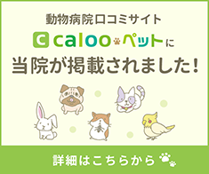 動物病院口コミサイト calooペットに当院が掲載されました！