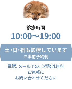 土日祝も診療！[診療時間]10:00～19:00 ※要事前予約